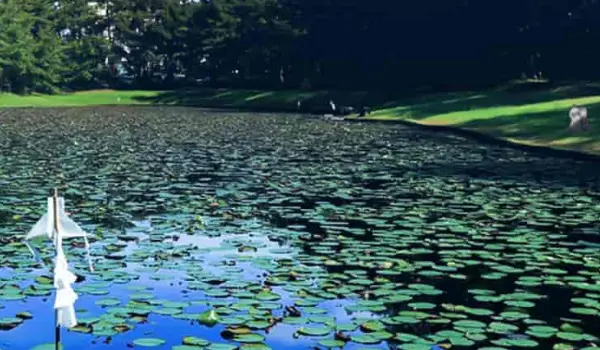 江田神社エリア